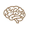 Enhances Brain Function