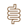Supports Gut Health
