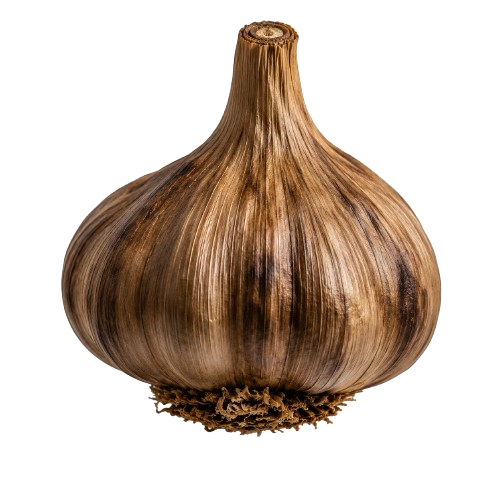 Black Garlic